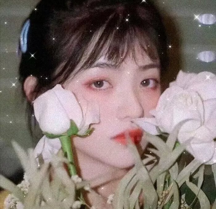 极限野营