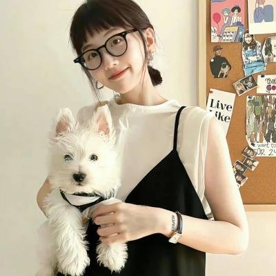 柏林报告